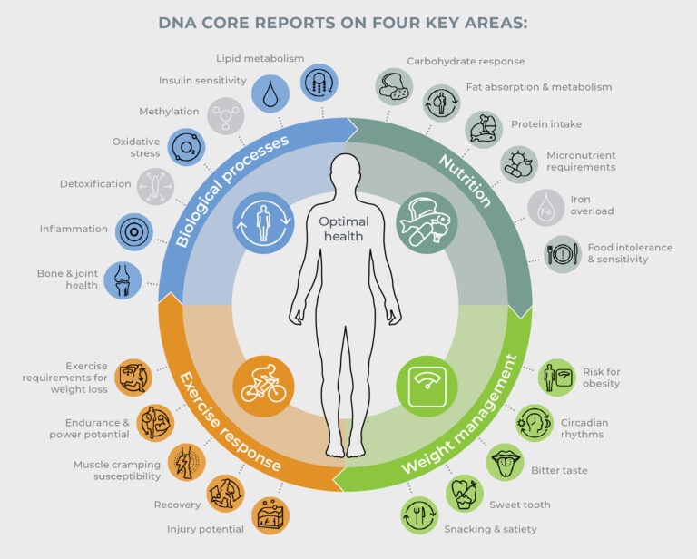Conheça o seu corpo como nunca! Na MRA poderá aplicar uma nutrição de precisão com a ajuda dos testes genéticos.